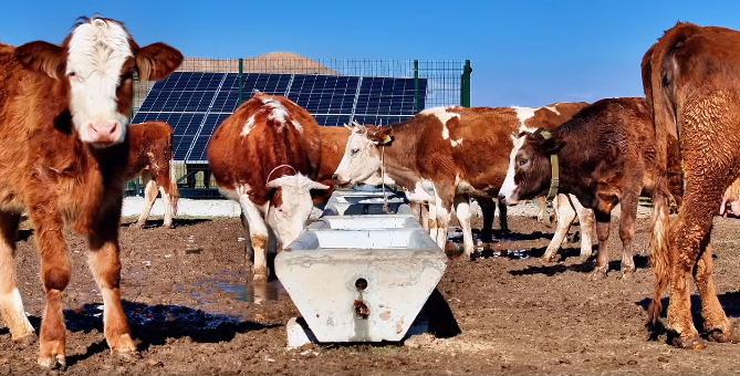 Serçe Parmak Projesi 40 Köye sürdürülebilir su getirdi