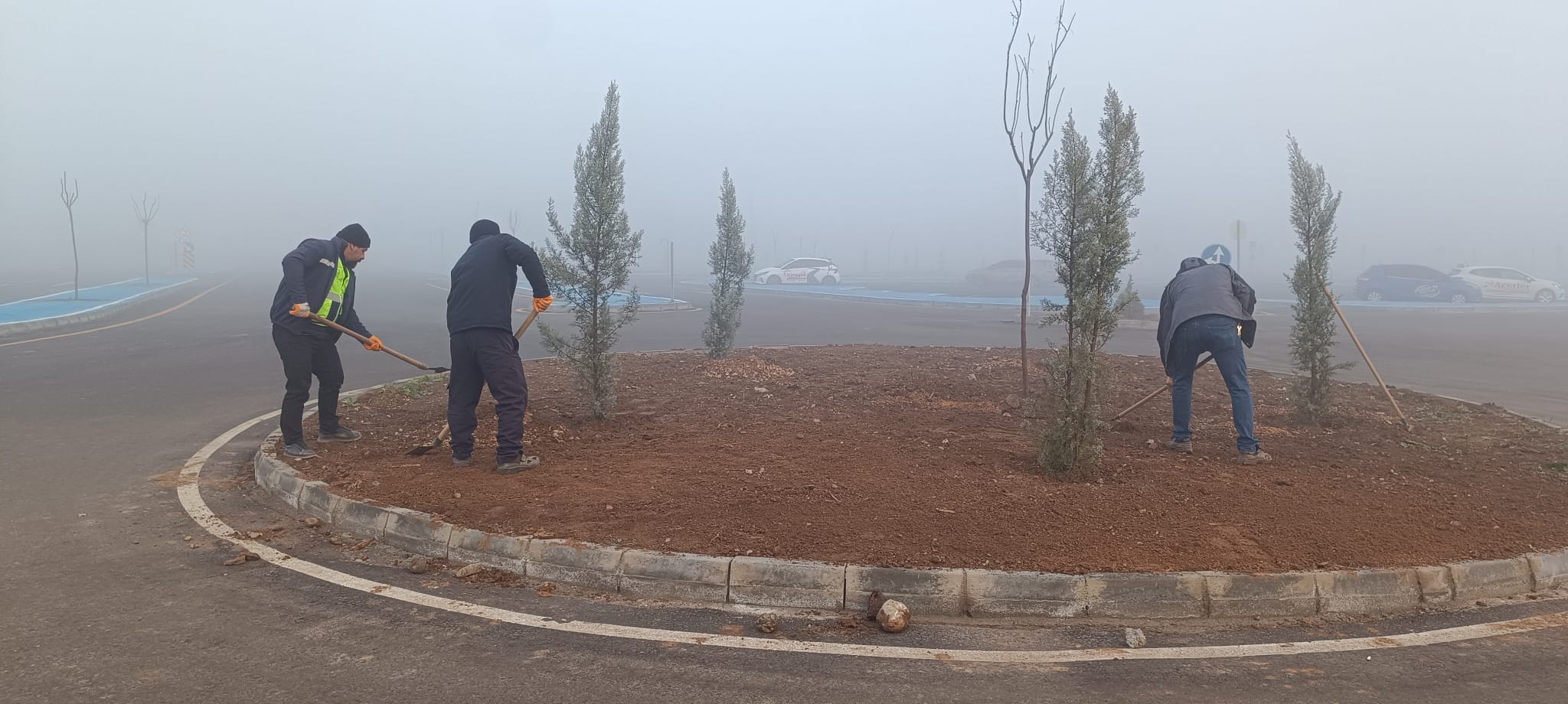 SÜRÜCÜ AKADEMİSİ YEŞİLE BÜRÜNÜYOR