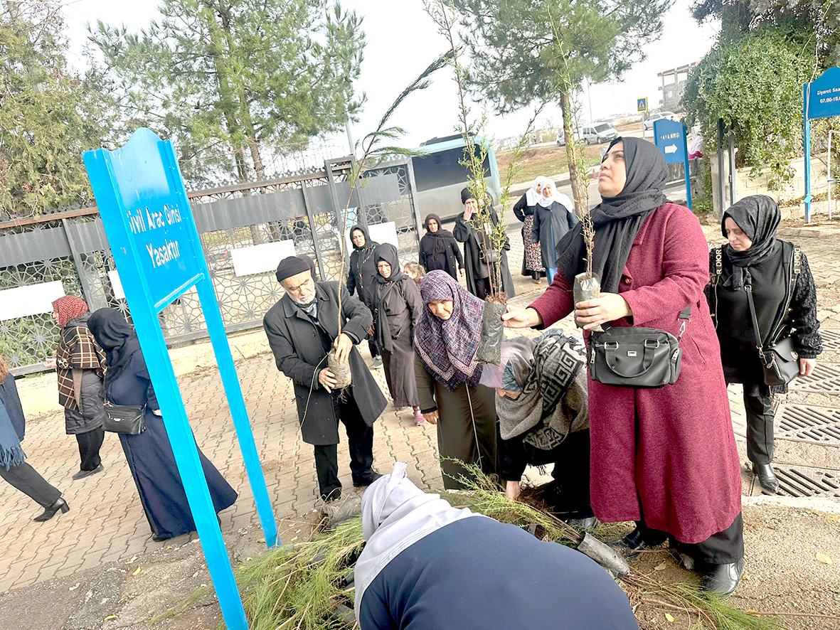 Batman Belediyesinden Ücretsiz Fidan Dağıtımı