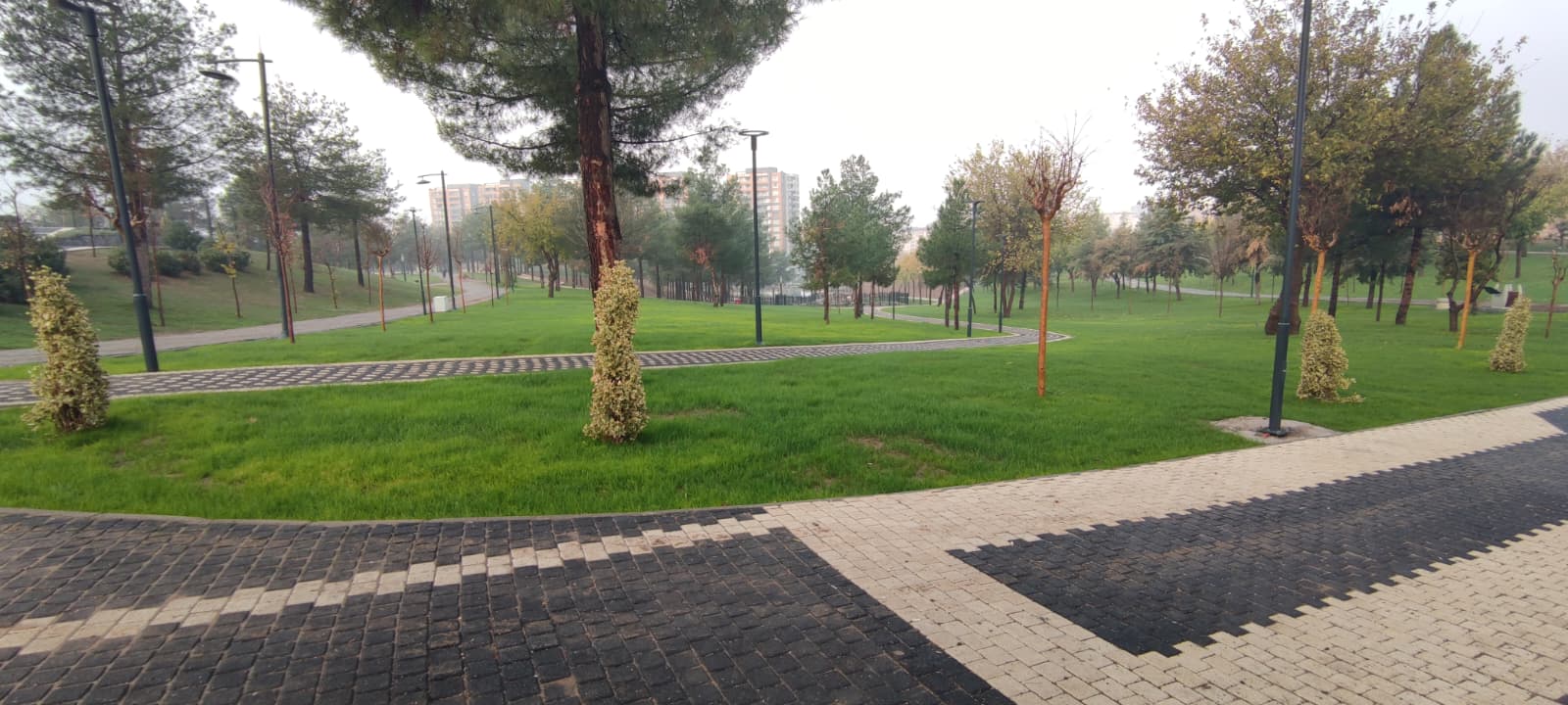 Yaşar Kemal Kent Parkı’nda çimlendirme çalışmaları sona yaklaştı