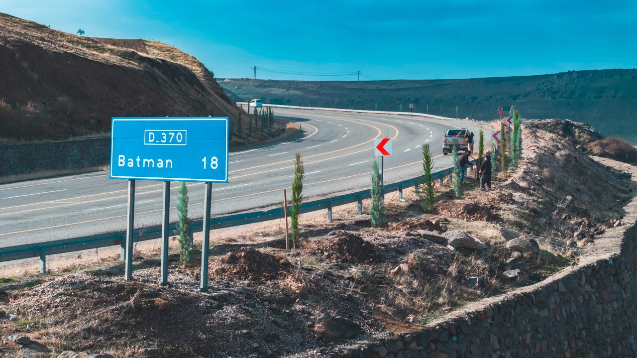 6 Bin 300 Fidan Toprakla Buluştu