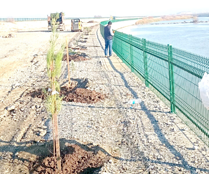 10 Kilometrelik Yürüyüş Yolu Ağaçlandırılıyor