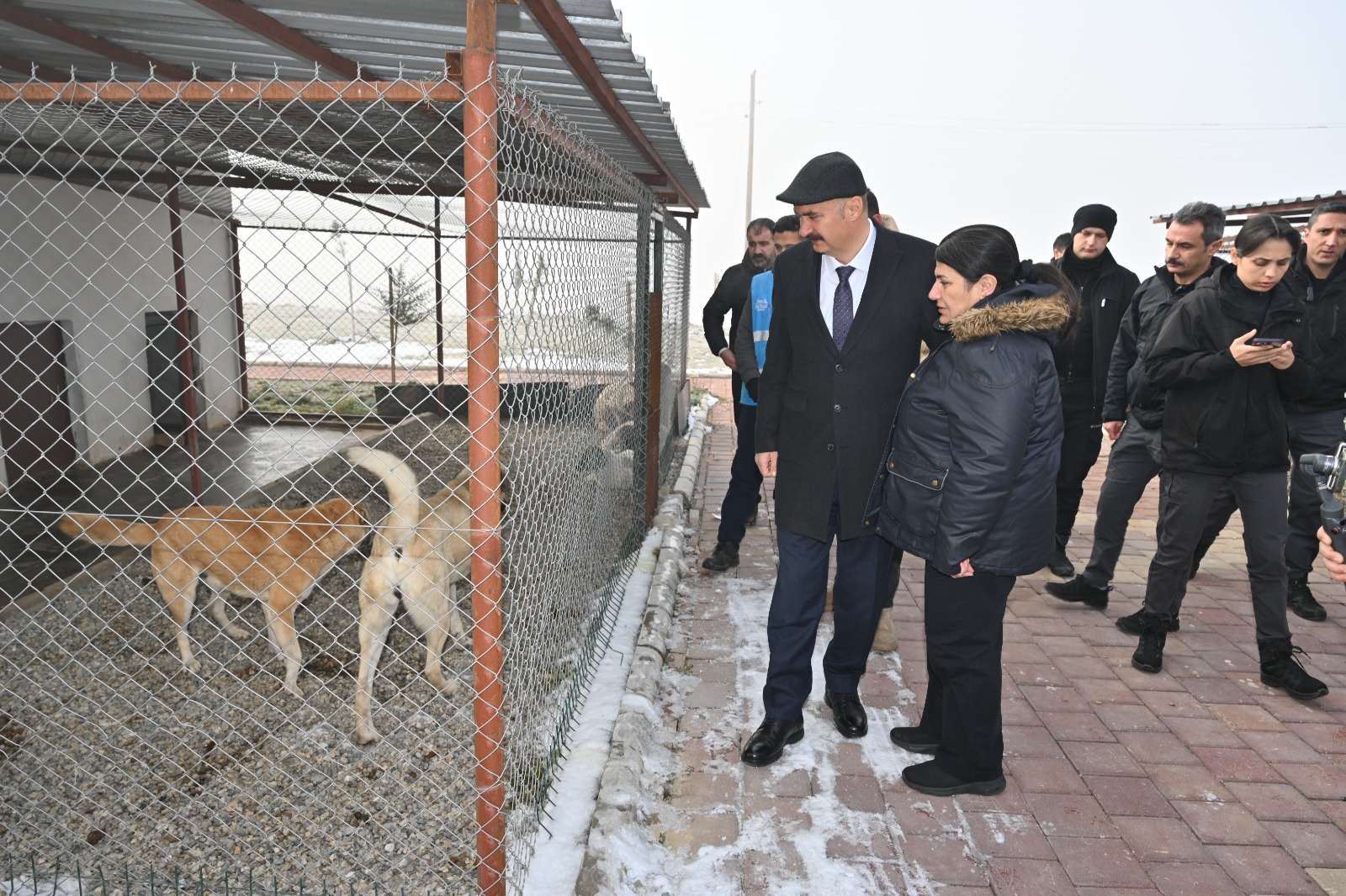Vali Canalp Hayvan Bakım ve Rehabilitasyon Merkezinde İncelemelerde Bulundu
