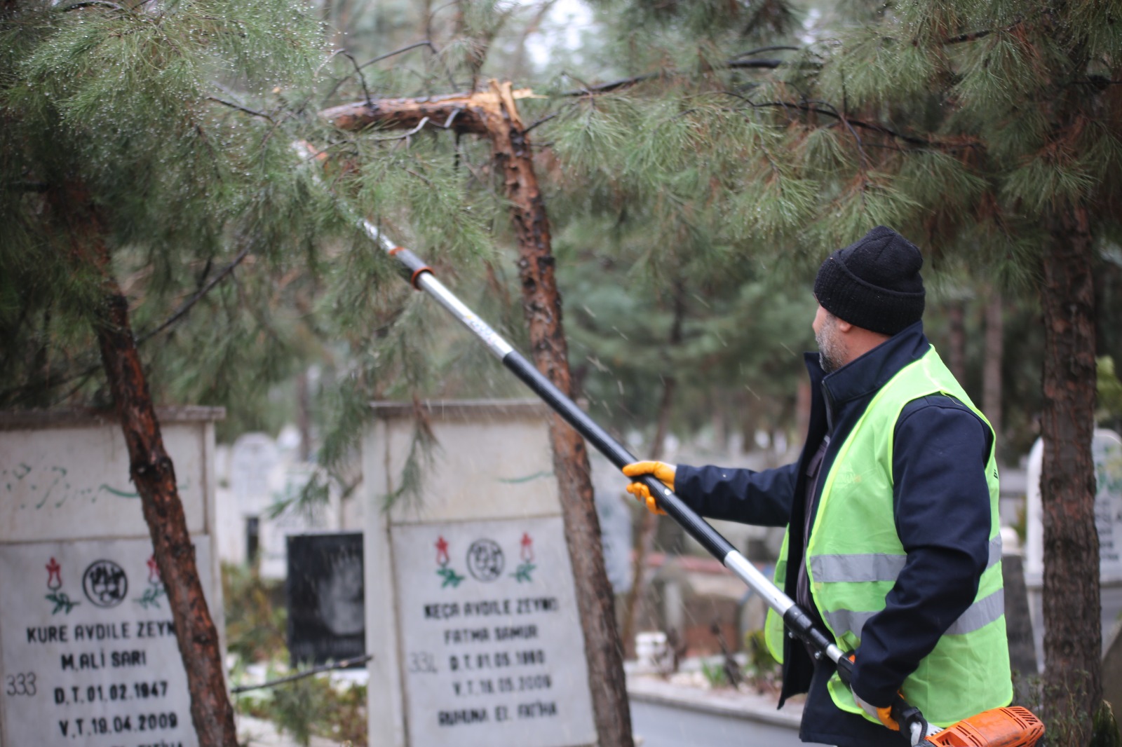 Batman Belediyesi’nden Ağaç Budama Çalışmaları