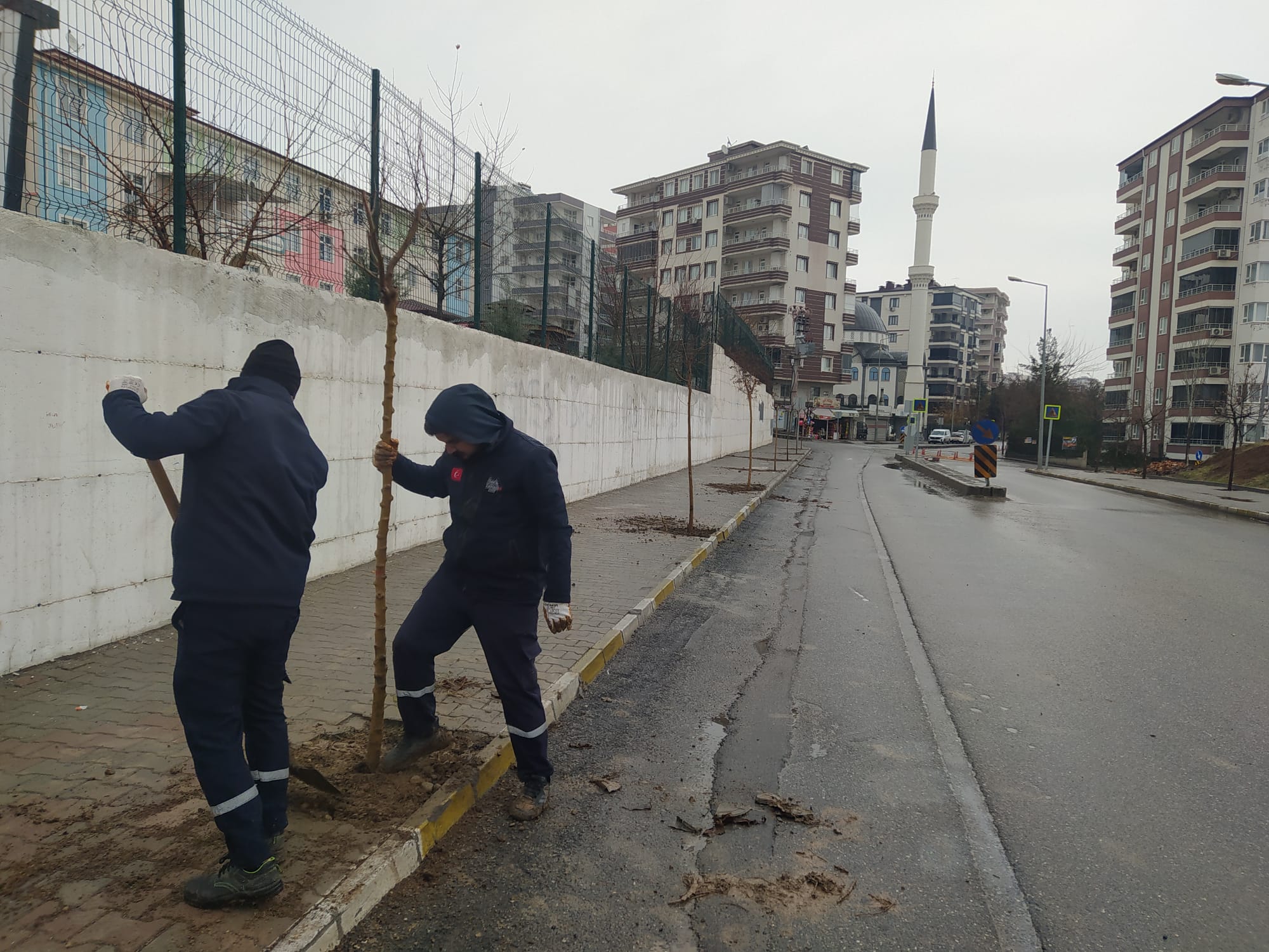 Günde 50 Ağaç Toprakla Buluşuyor
