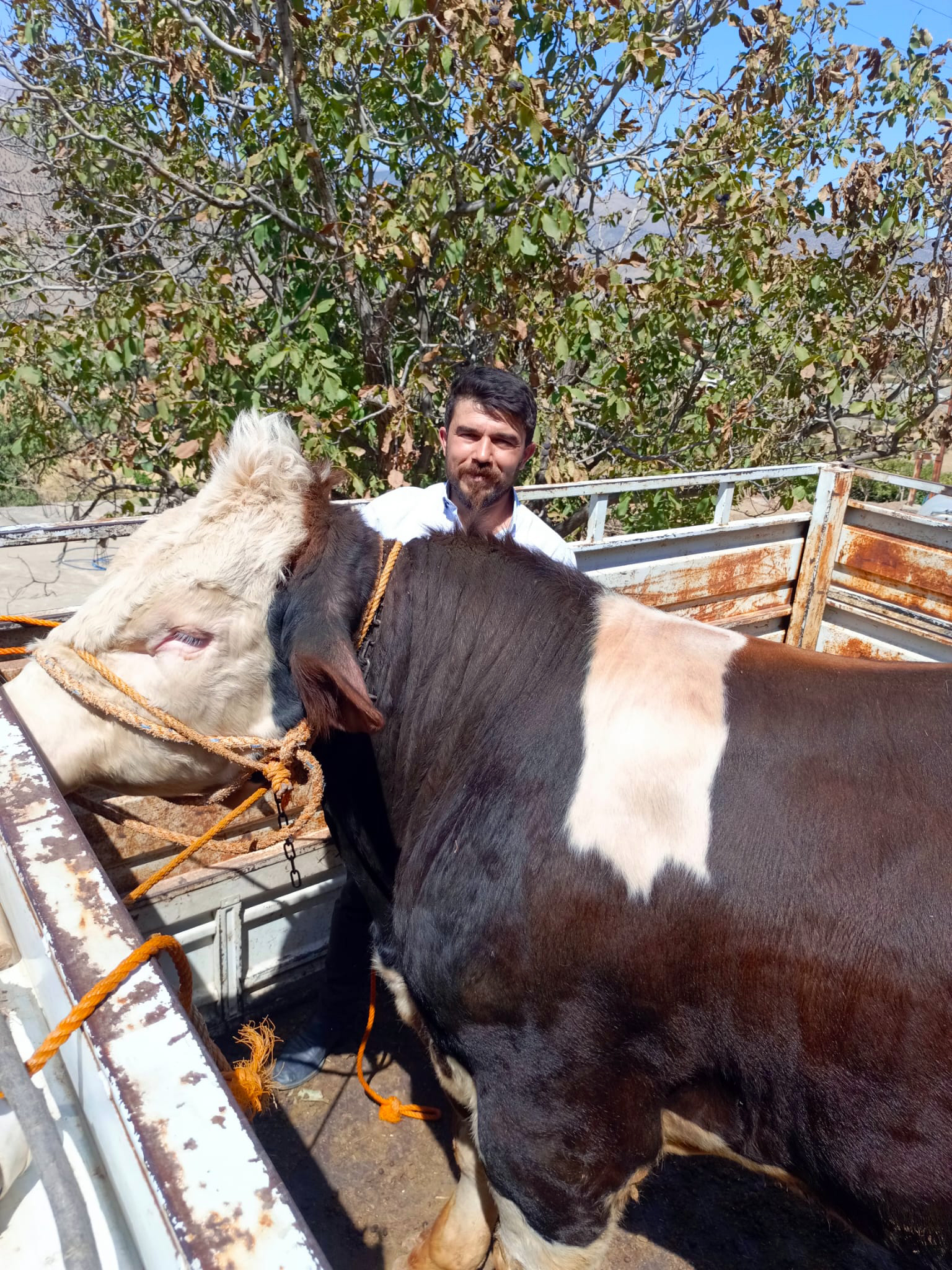Besiciler Artan Maliyetler Karşısında Zor Günler Yaşıyor