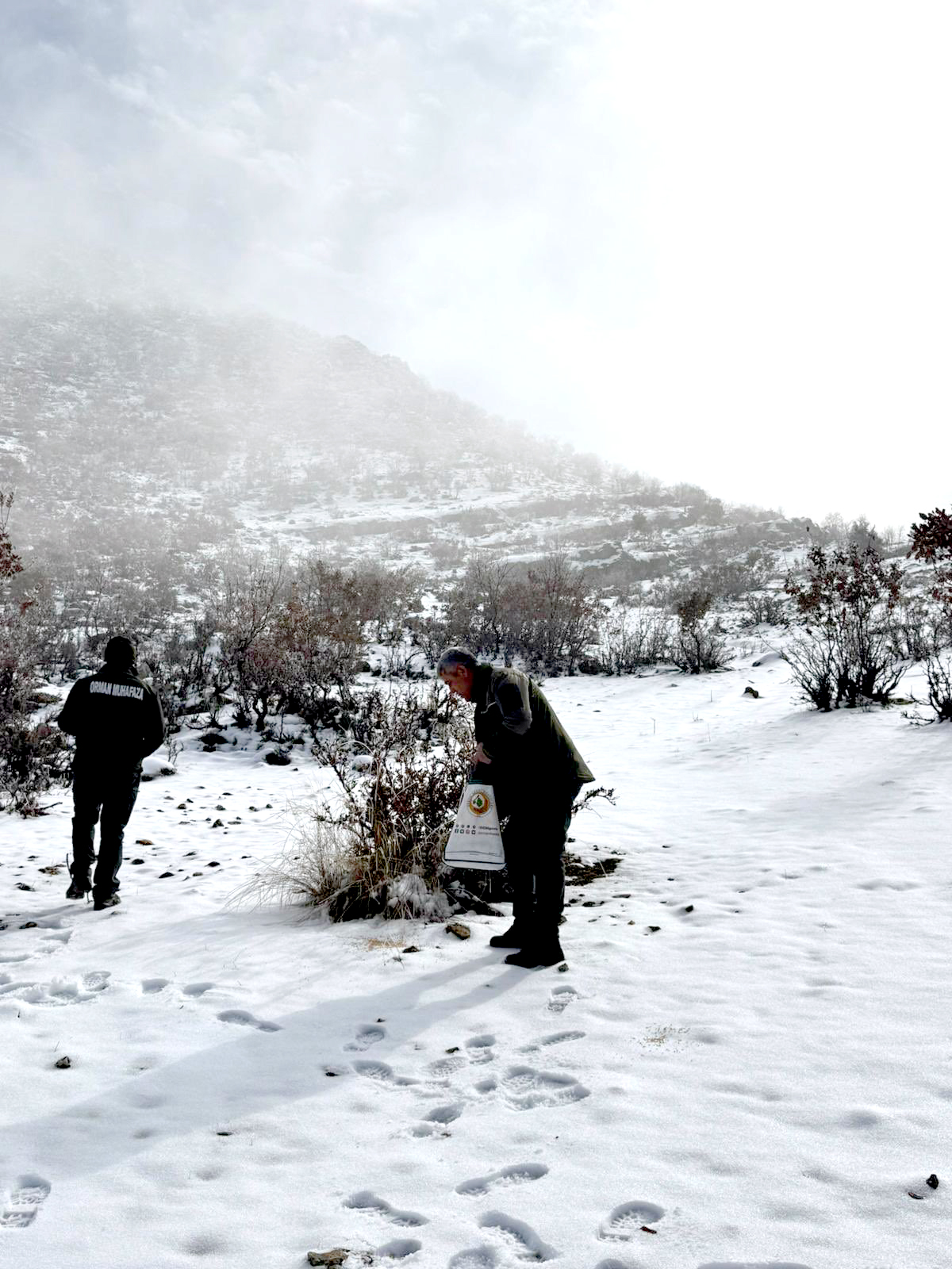 Hasankeyf’te Doğaya Yem Desteği