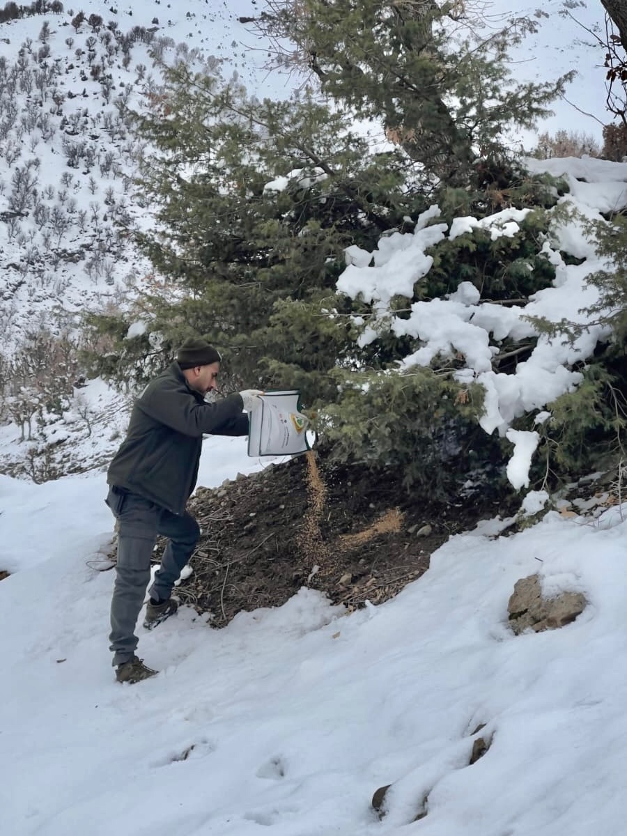 Sason’da Yaban Hayvanları İçin Kış Mesaisi