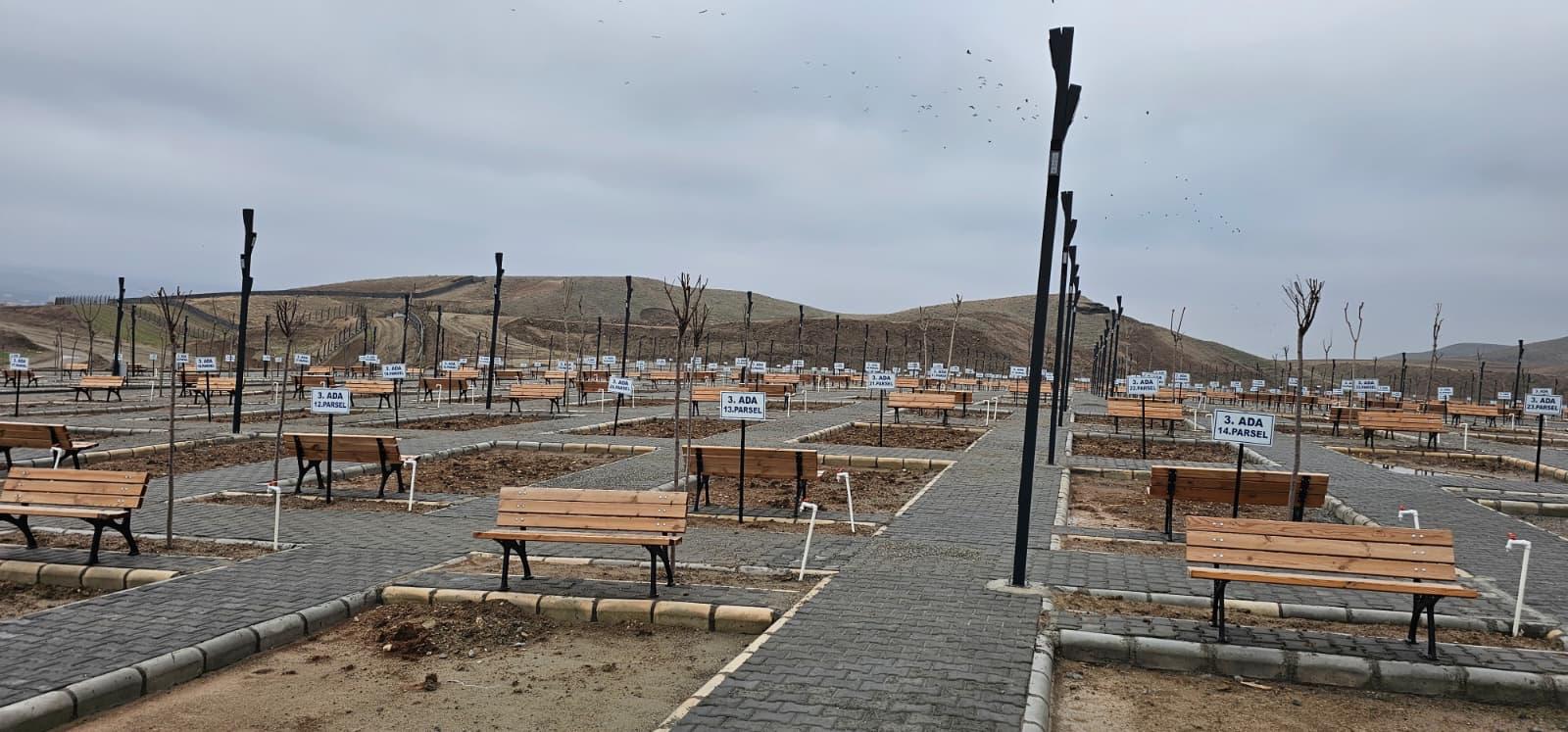 Aile Mezarlığı Defne Açıldı