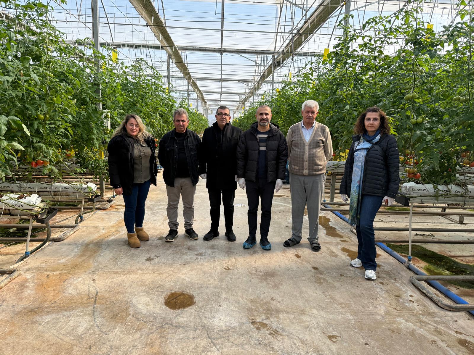 Sera OSB’de Topraksız Tarım Dönemi Başladı