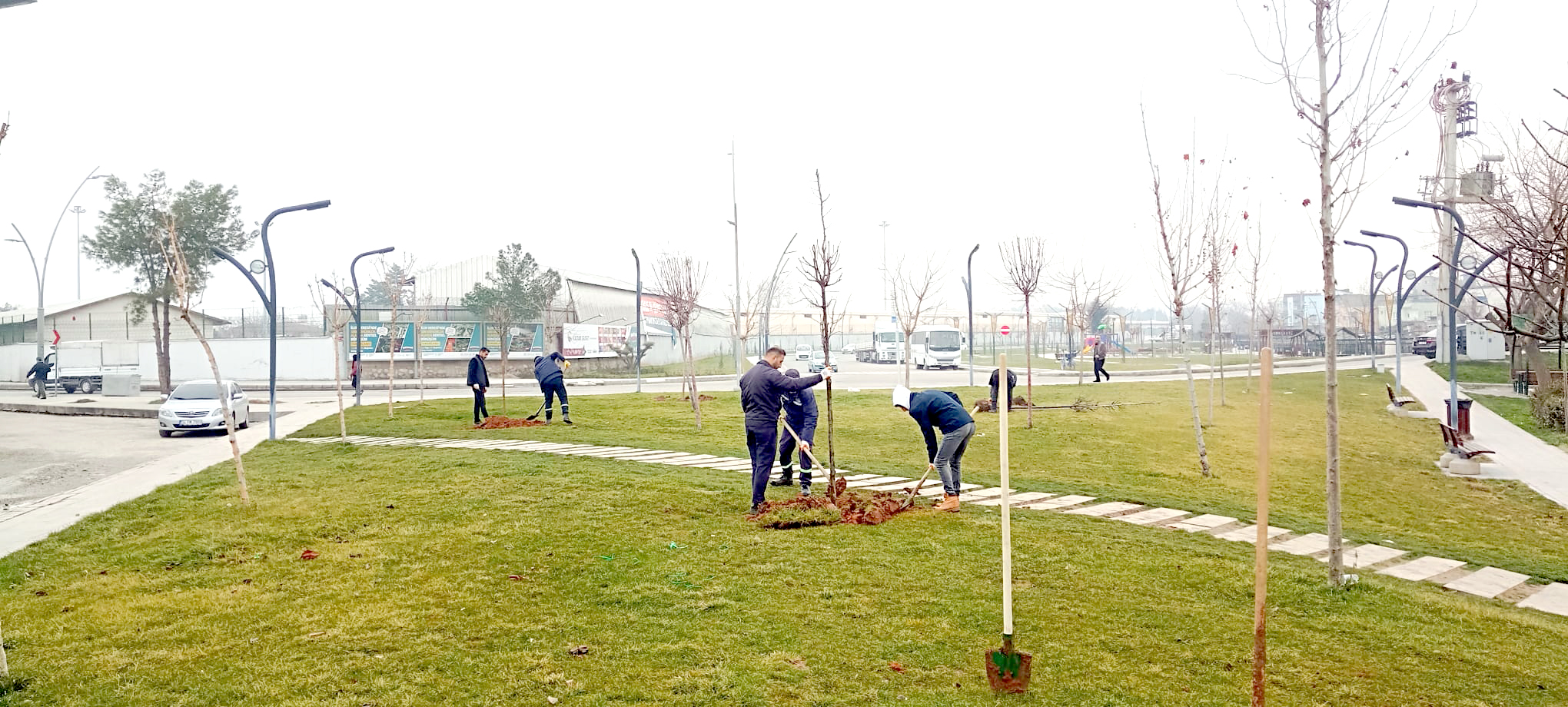 Fidanlar Toprakla Buluşuyor