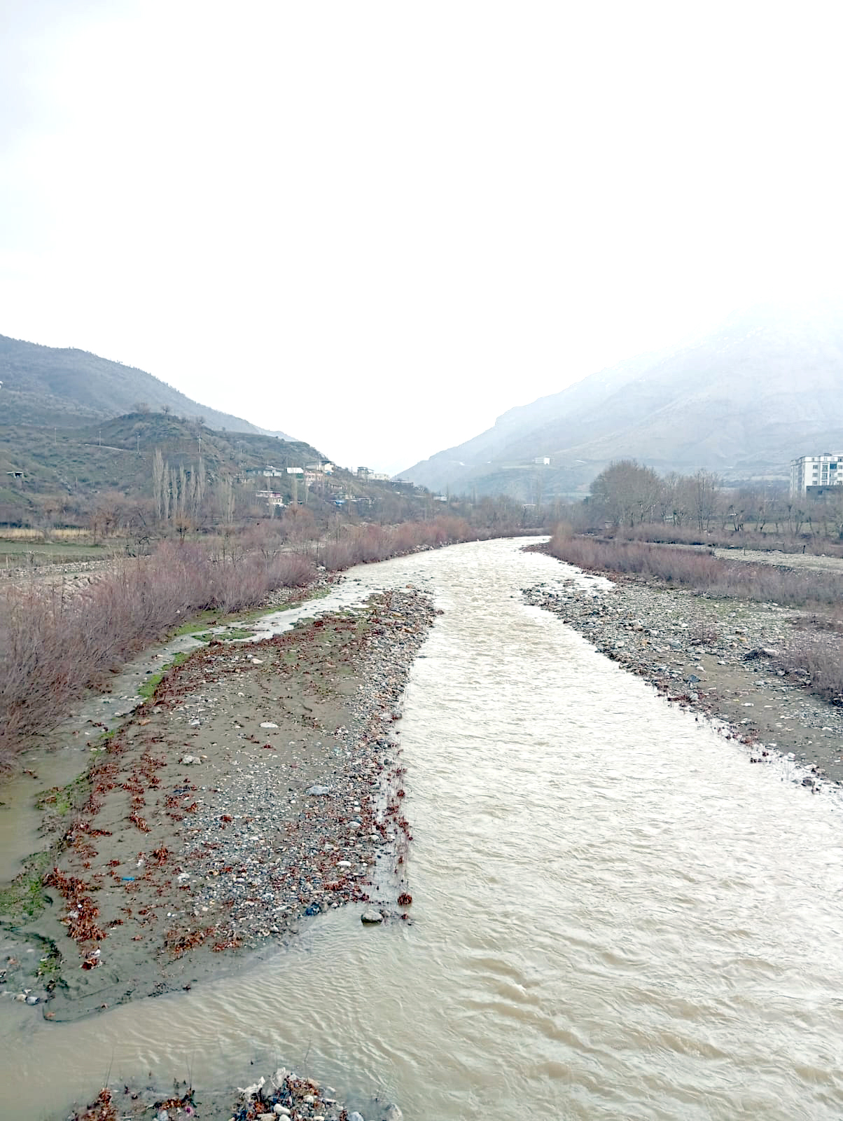 Yağışlarla birlikte dereler coştu