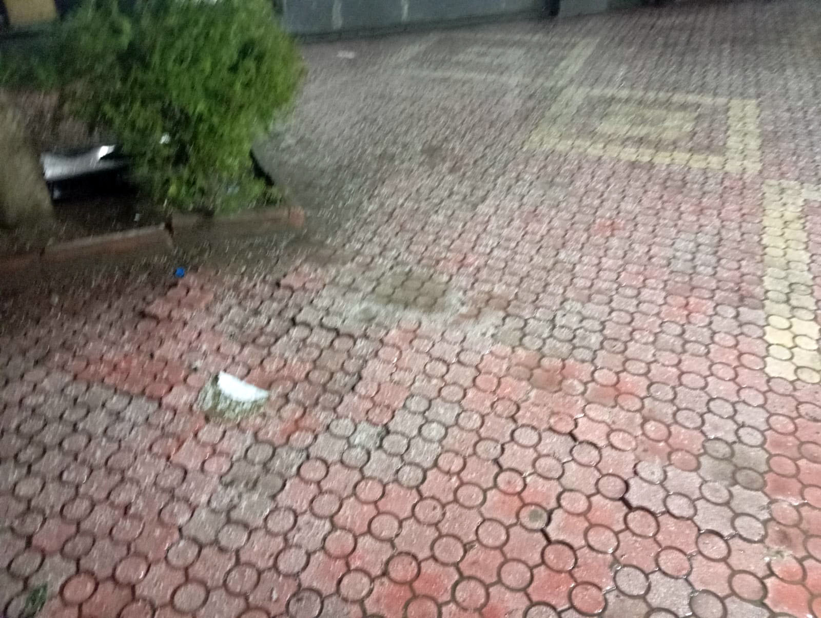 Dolu yağışı beyaza bürüdü