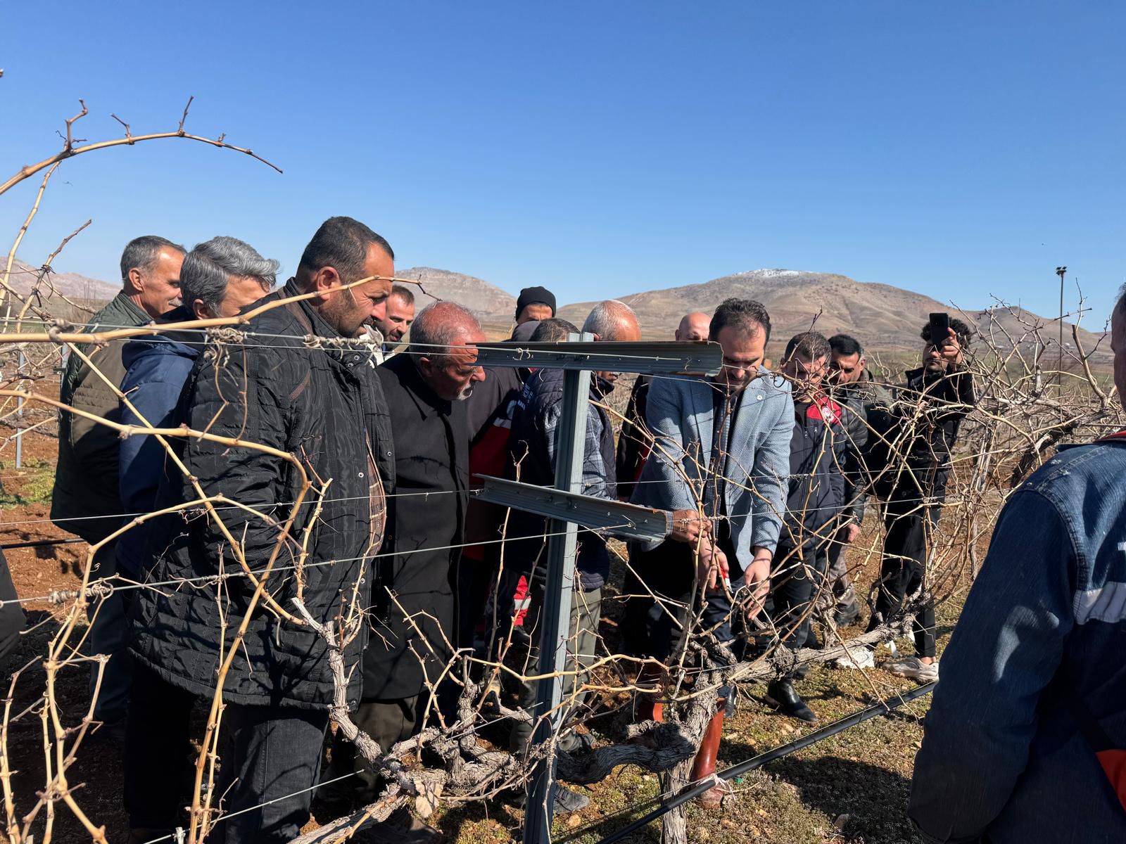 Gercüş Bağcılığında Yeni Dönem: “Birlikte Hareket, Yüksek Verim”