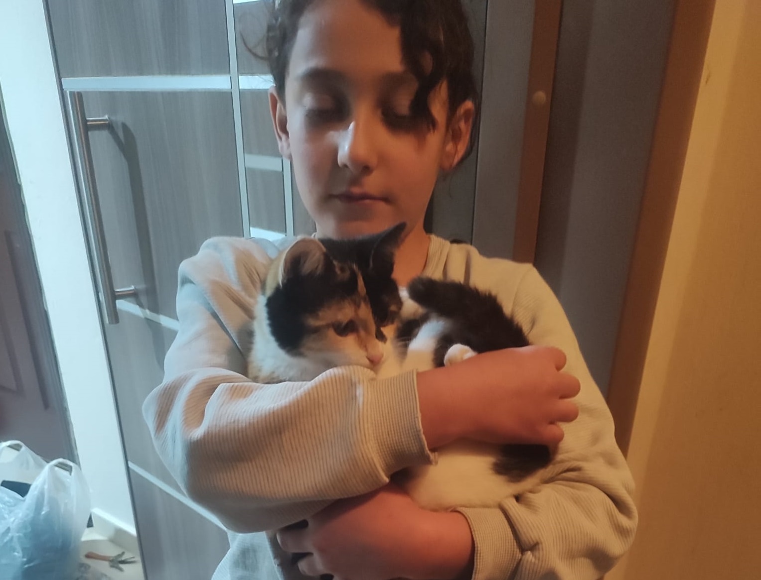 Ağaçta Mahsur Kalan Kedi İtfaiye Sayesinde Kurtarıldı