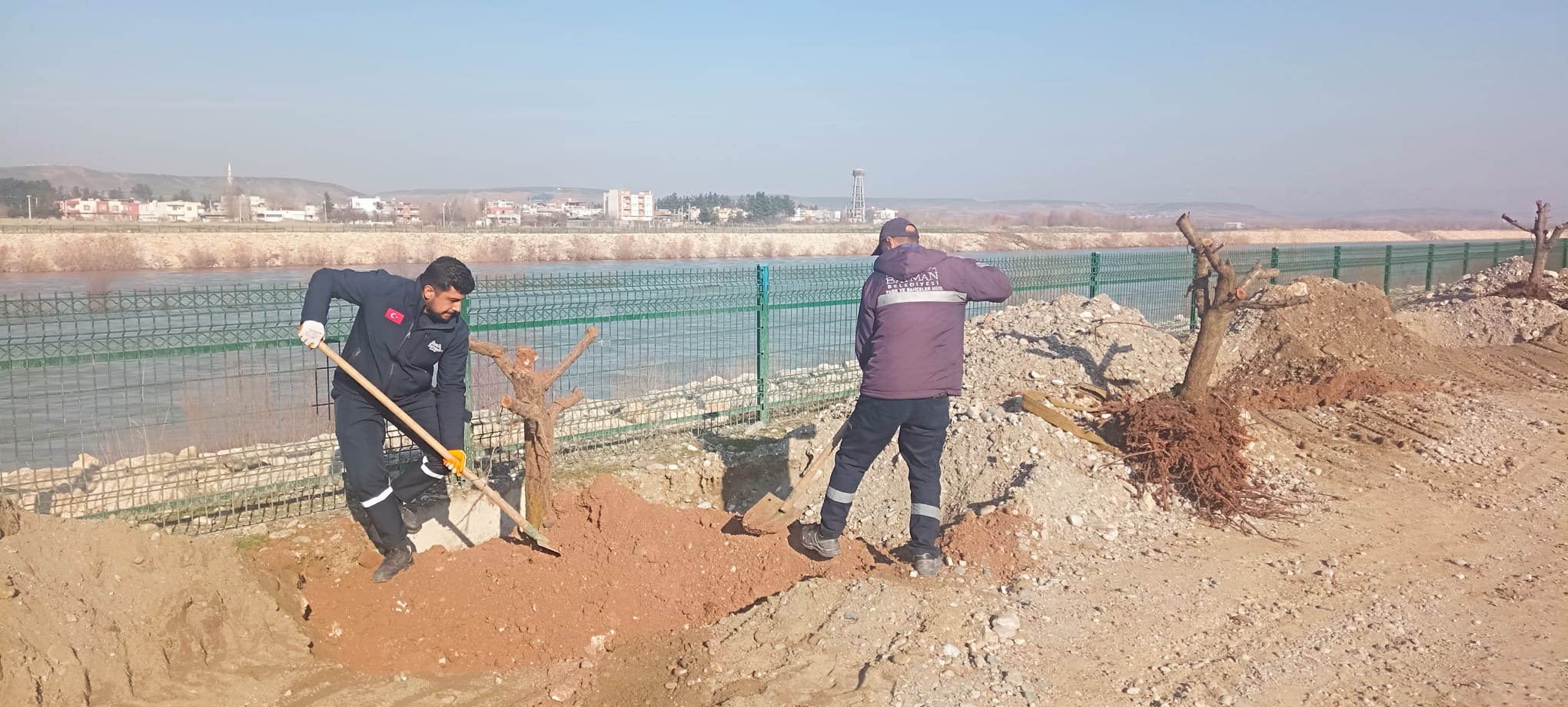 Çay Kenarına 2 Bin Meyve Ağacı Dikildi
