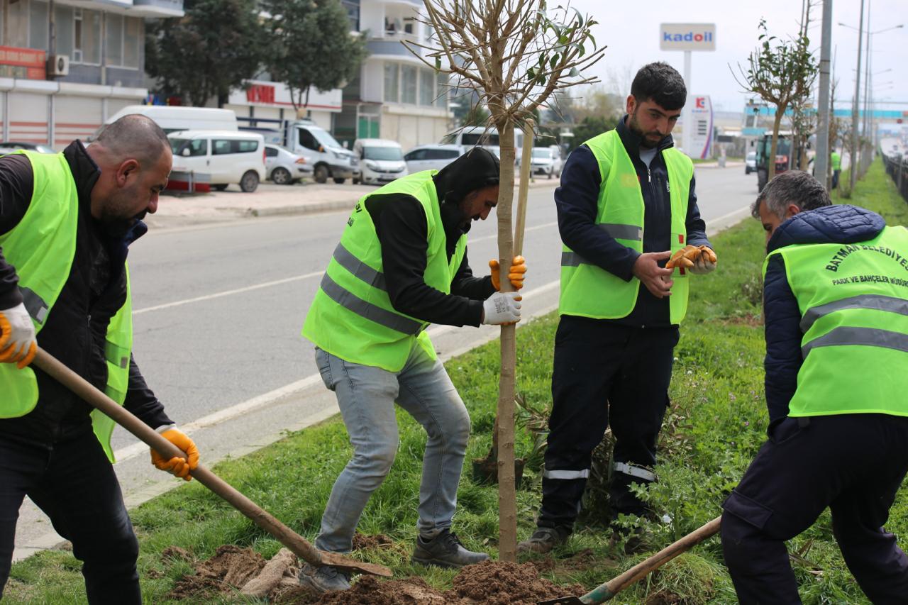 900 Fidan Toprakla Buluştu