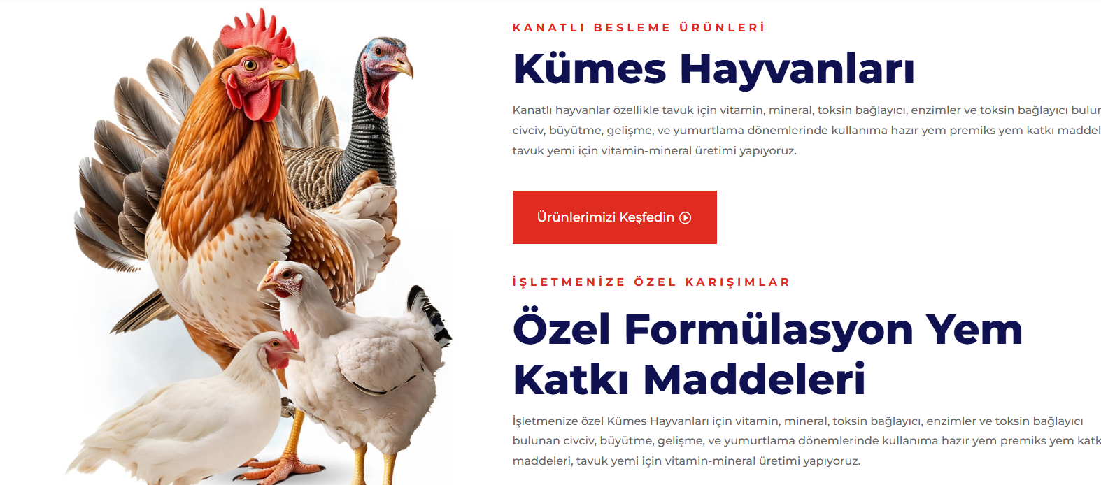 L Vitamini Ne İşe Yarar?