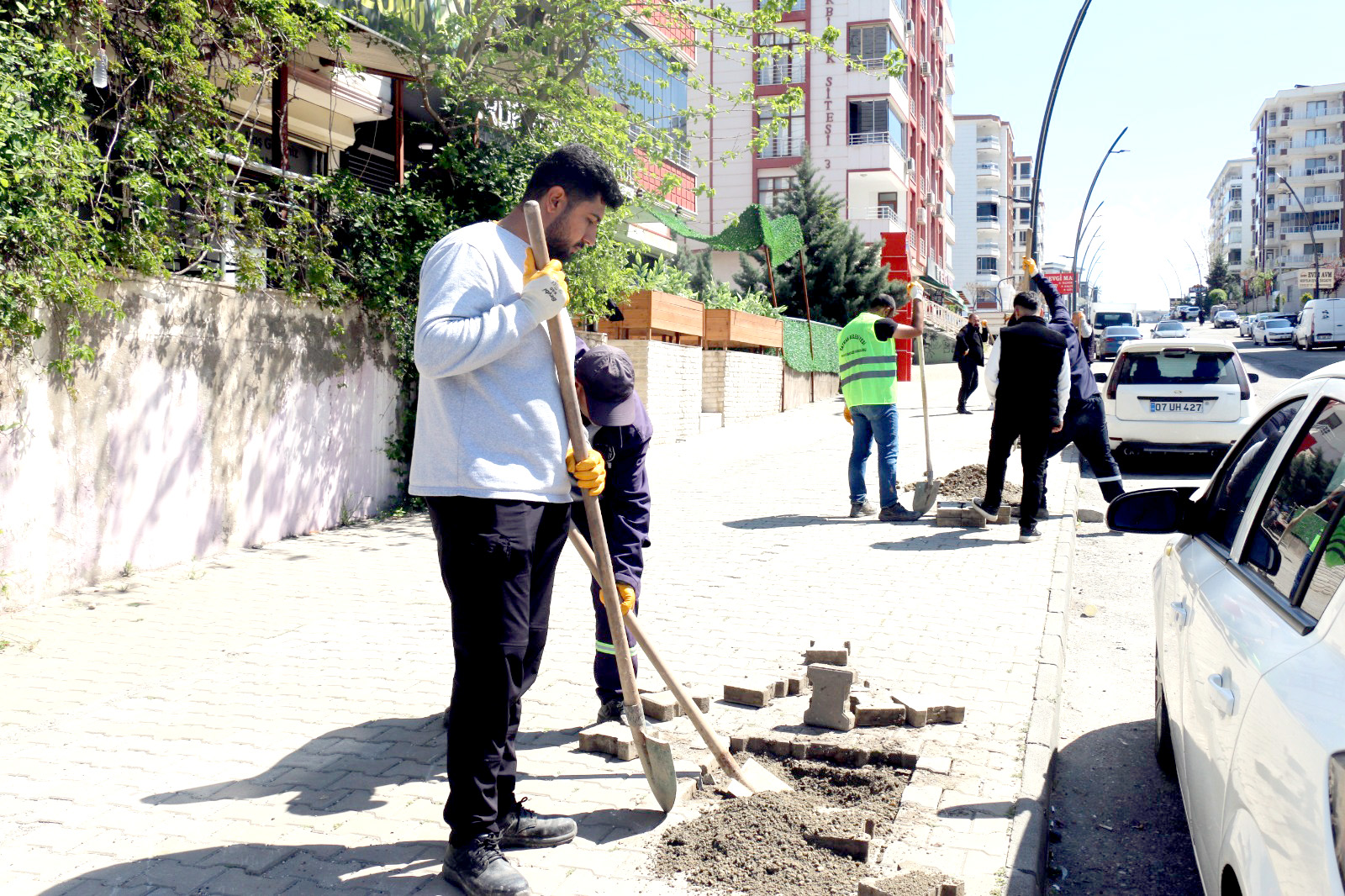 Solin Caddesi Tespih Ağaçlarıyla Yeşilleniyor