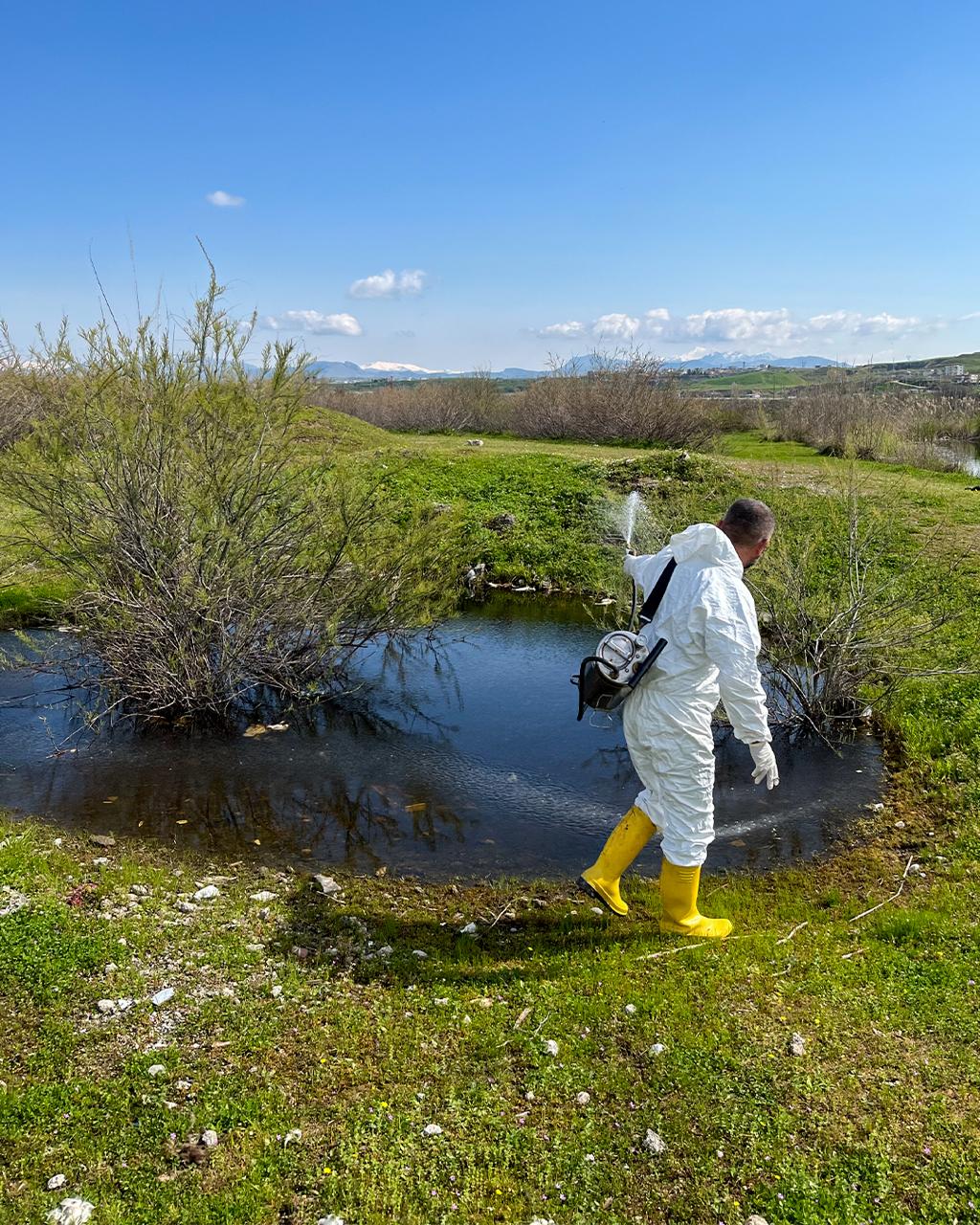 Yaz Öncesi Larva Mücadelesi Sürüyor