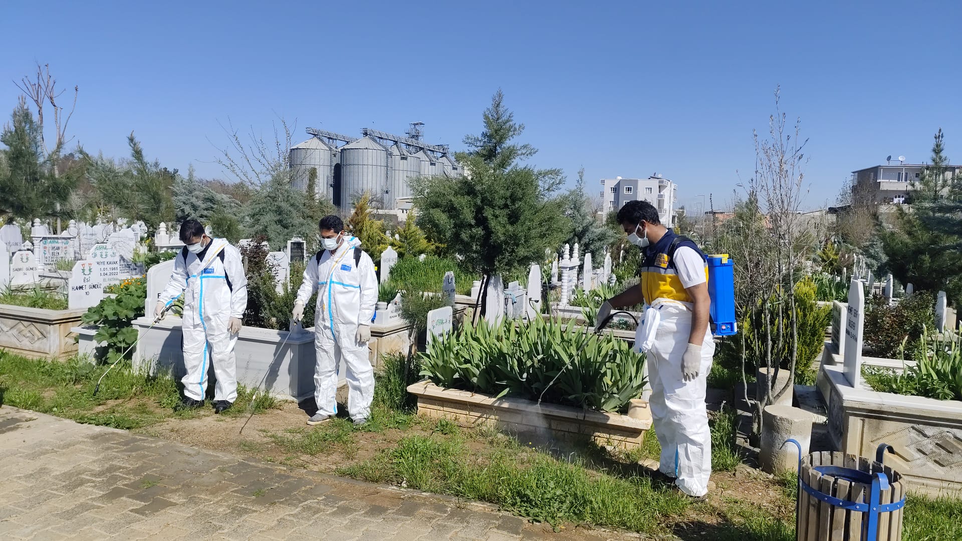 Mezarlıklarda yabani otlara karşı ilaçlama başladı