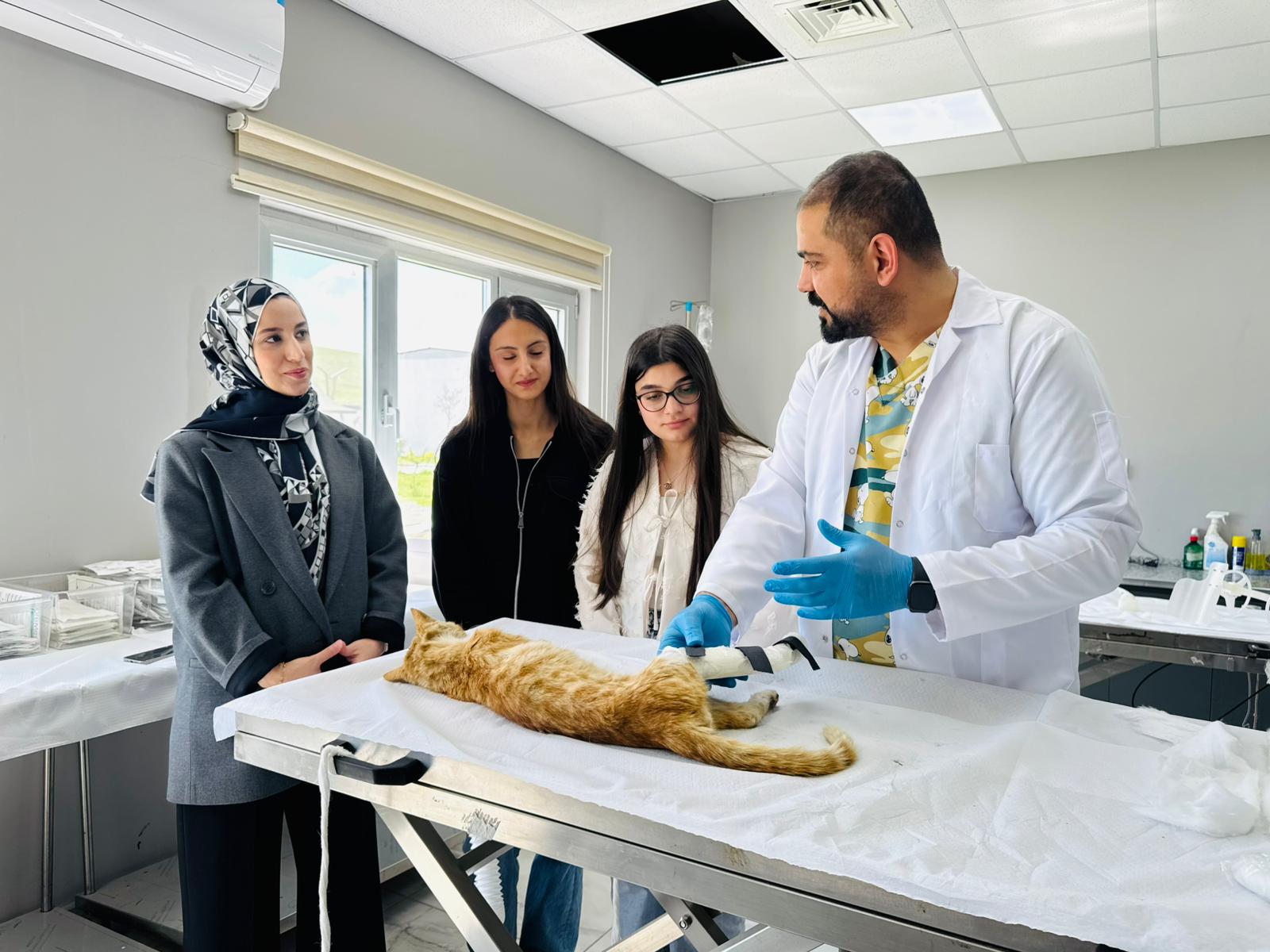 Atık Pet Şişeler Can Dostlara Umut Oluyor