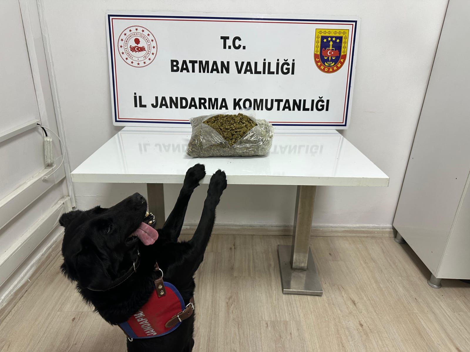 Jandarmadan Uyuşturucu Operasyonu: 1,4 Kilo Skunk Ele Geçirildi