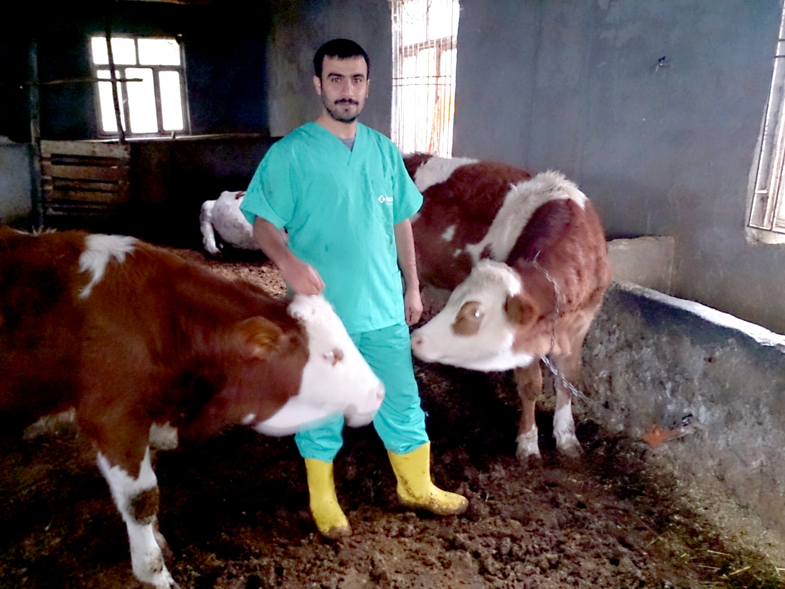 Veteriner Hekim Geniş’ten Sıcak Havalarda Sokak Hayvanları İçin Çağrı