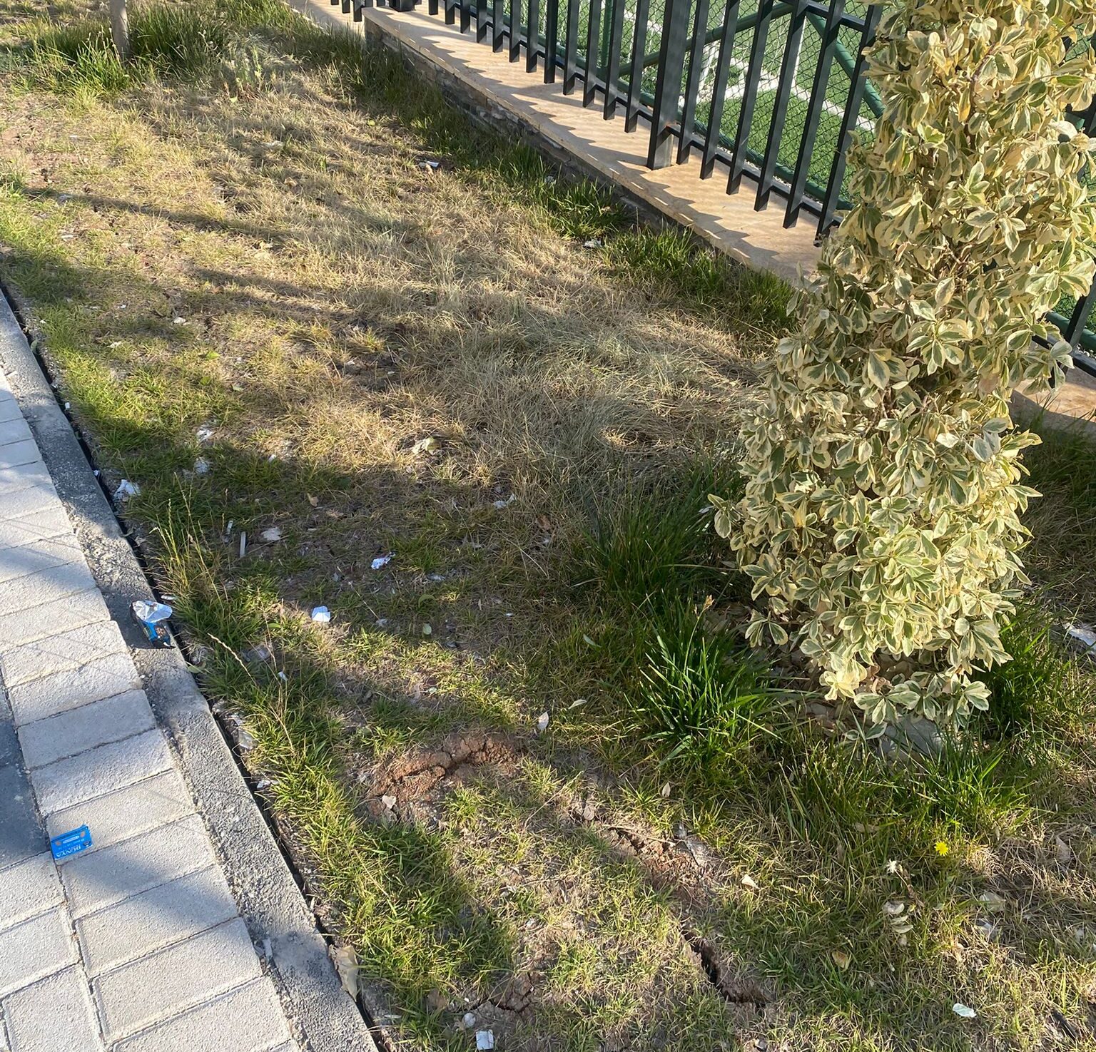 Yaşar Kemal Kent Ormanı İçin Bakım Çağrısı