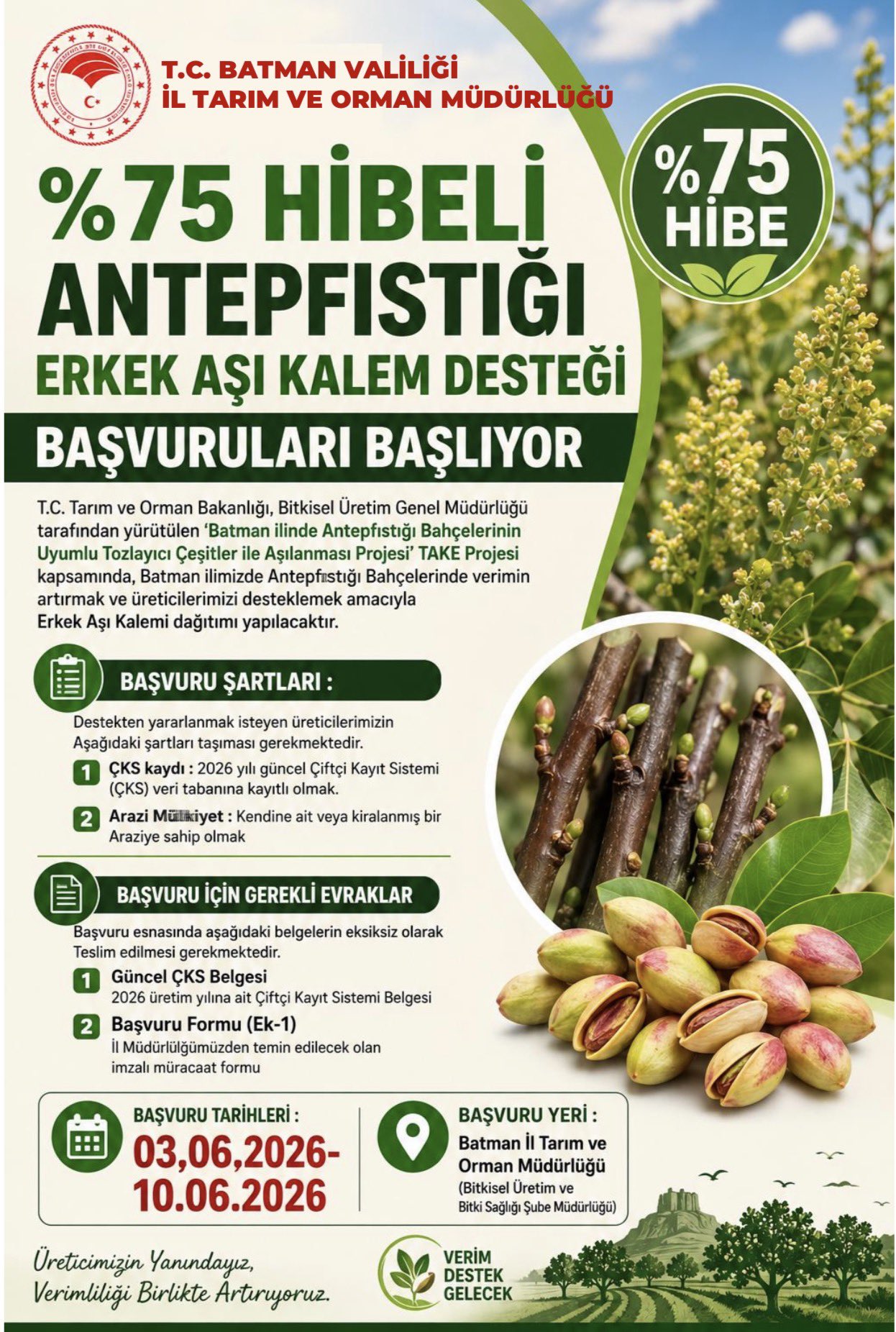 %75 Hibeli Antepfıstığı Erkek Aşı Kalemi Desteği Başlıyor