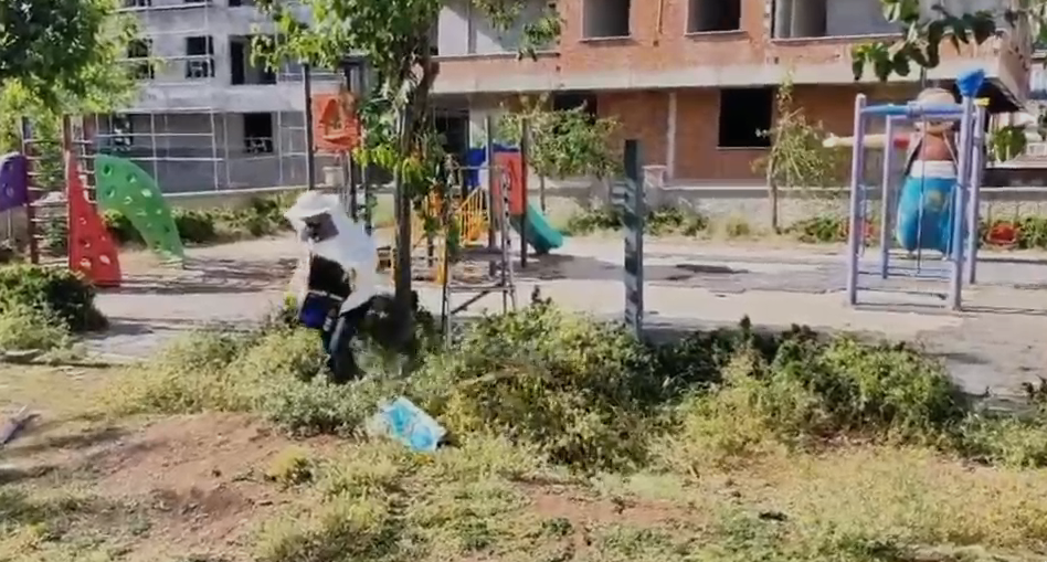 Arı Kolonisi Koruma Altına Alındı, İlaçlama Sonrasında Çalışmalar Sürdü