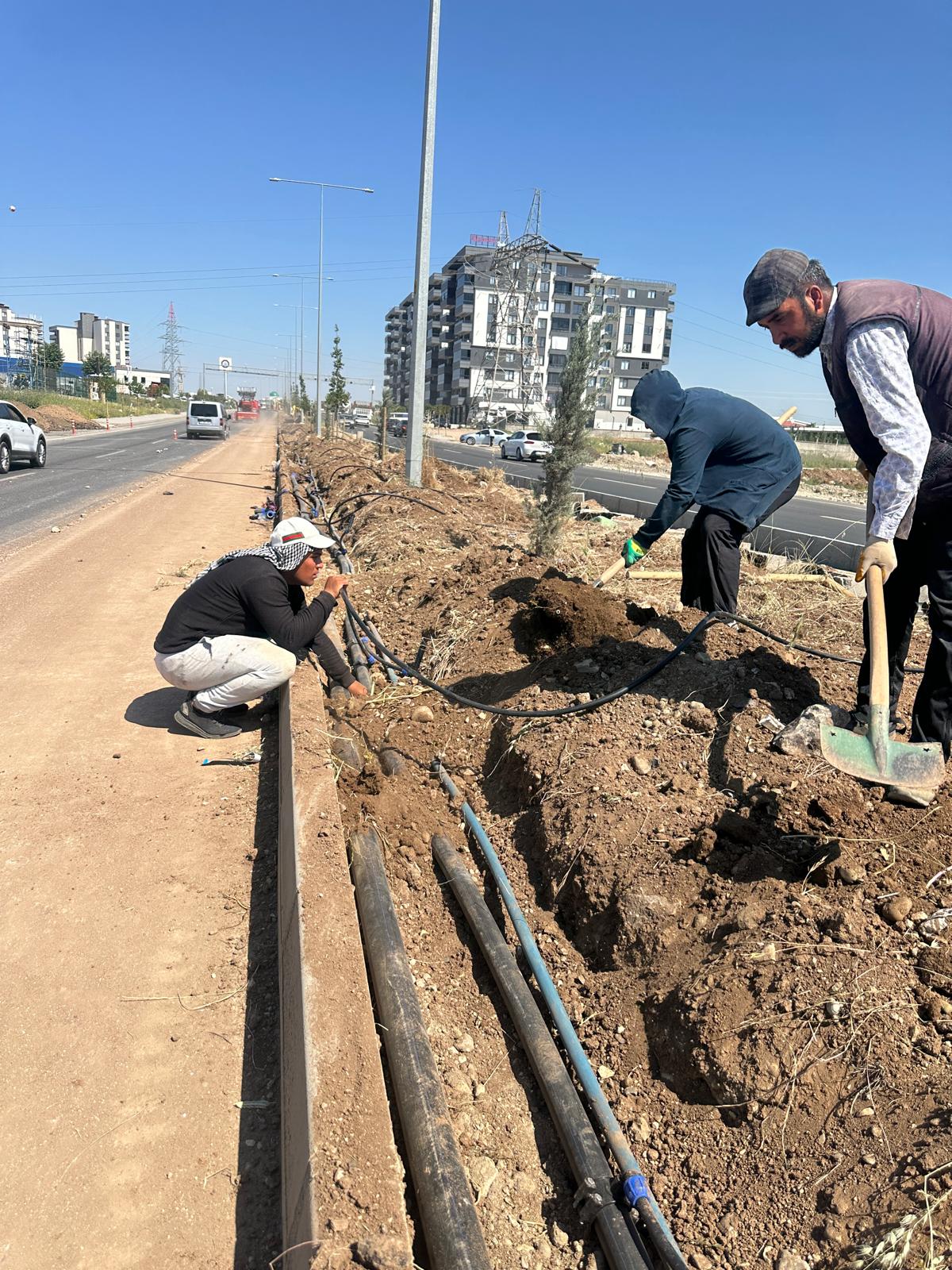Çevre yolları yeşil kuşak projesiyle yeşilleniyor
