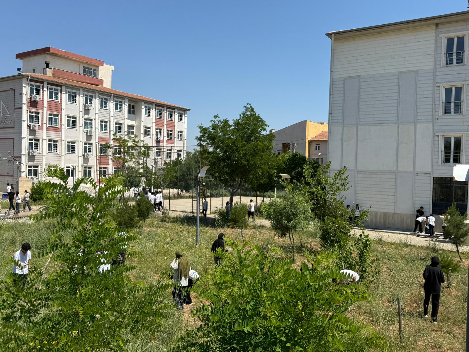 Batman Fen Lisesinden Dünya Çevre Günü’ne Anlamlı Etkinlik
