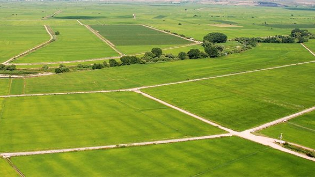 2B, Tarım Arazileri ve İmar Barışında Süre Uzatıldı