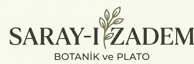ŞIK VE FONKSİYONEL SEÇİM: SAKSI MODELLERİ