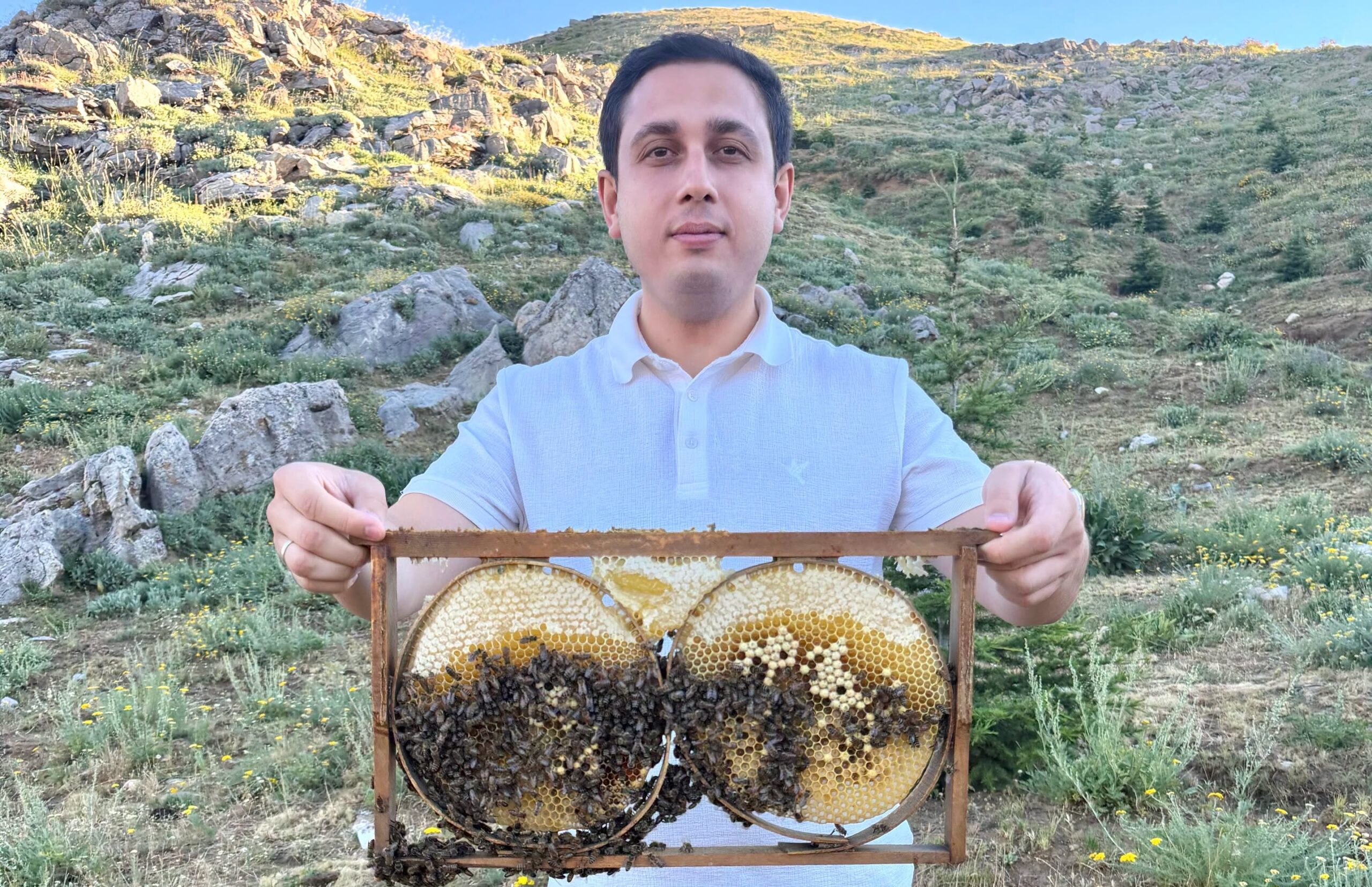 Sason Balında Hasat Öncesi Son Kontroller Sürüyor