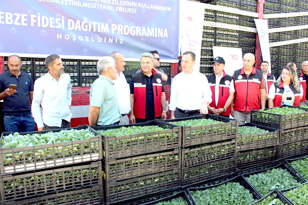 Üreticilere 450 Bin Sebze Fidesi Desteği