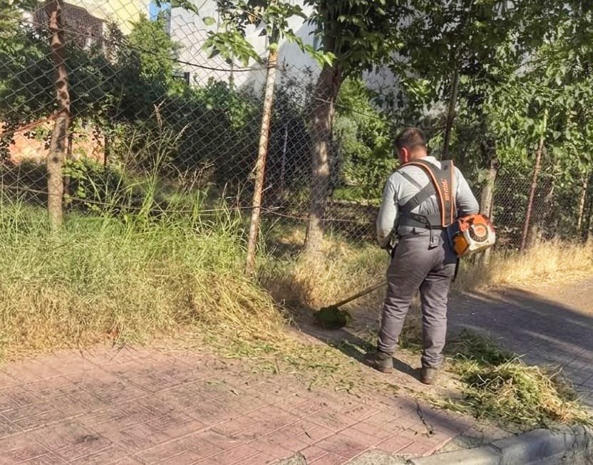 Kaldırımlardaki Yabani Otlar Temizleniyor