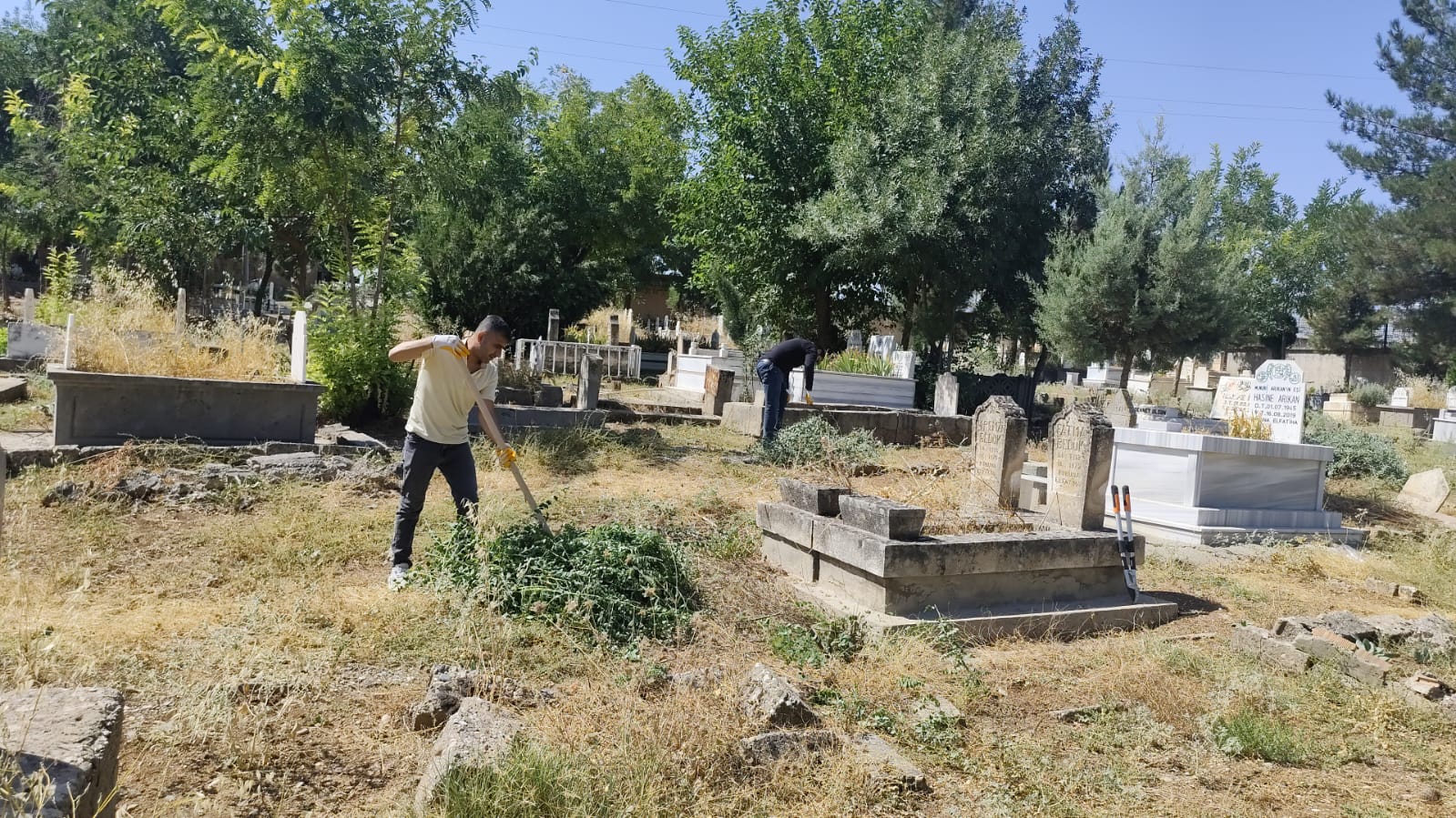 Mezarlıklarda Yabani Ot Temizliği