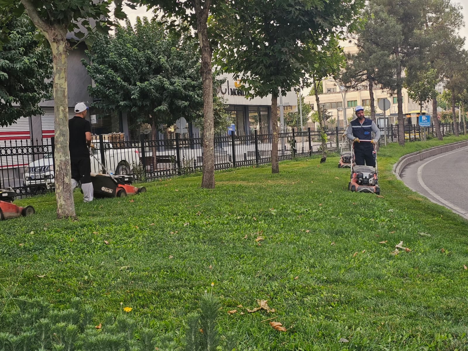 Yeşil Dokuya Estetik Görünüm