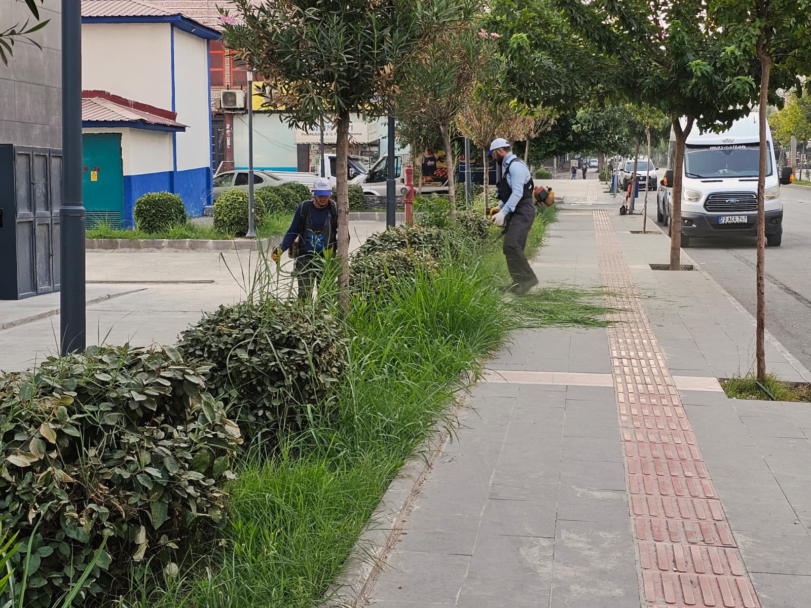 Yeşil Alanlarda Yaz Bakımı Sürüyor