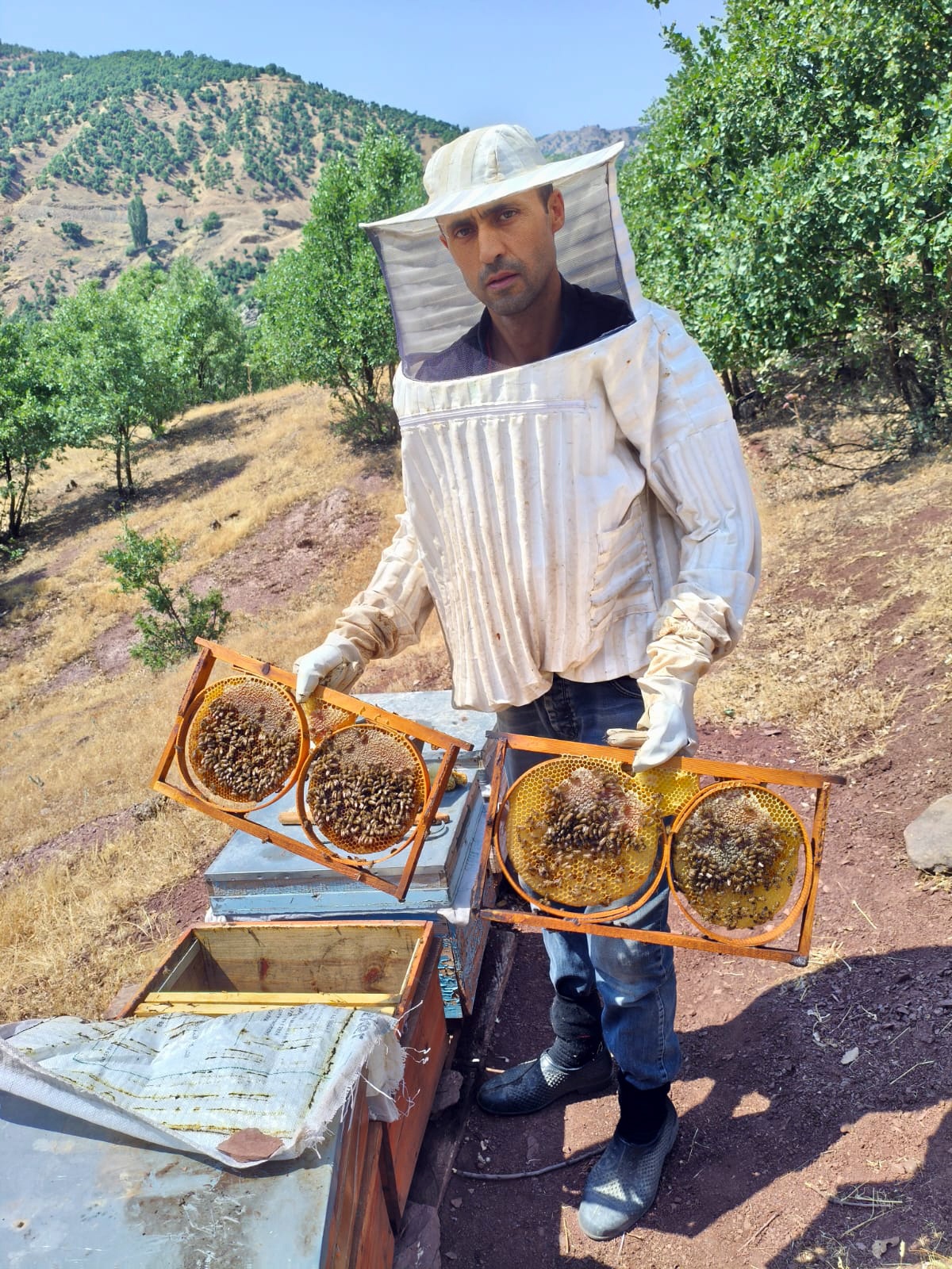 Sason Balında Kaliteyi Yayla Bitkileri Belirliyor