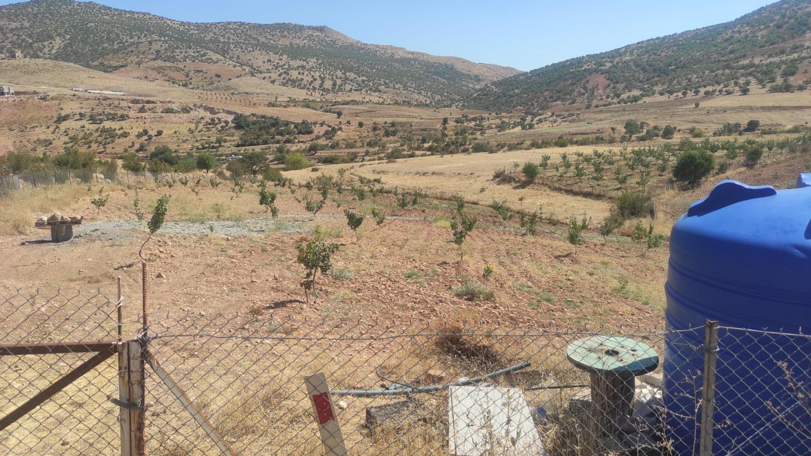 Ağaçlandırmaya 116 Milyon TL’lik Destek