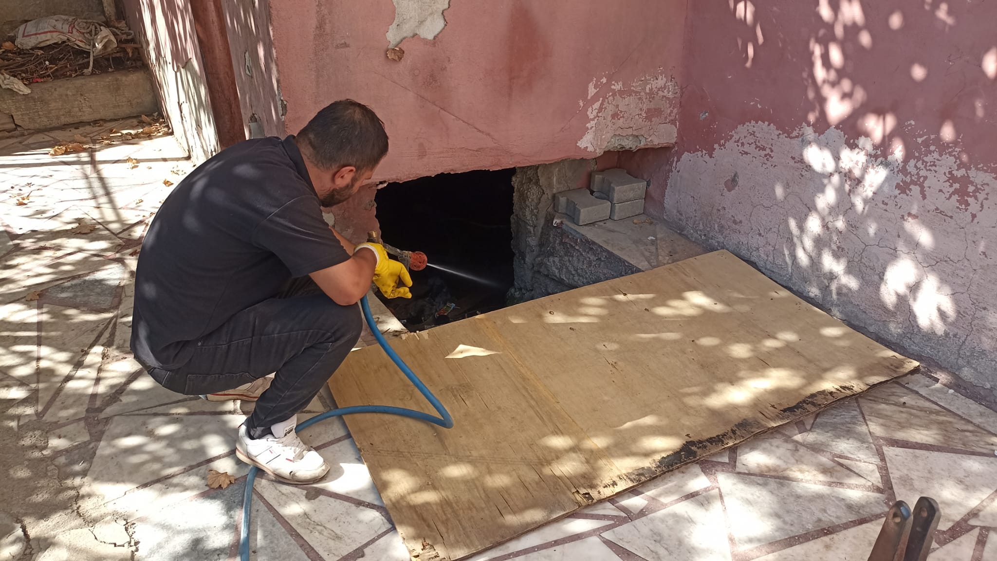 Haşerelere karşı 365 gün kesintisiz mücadele