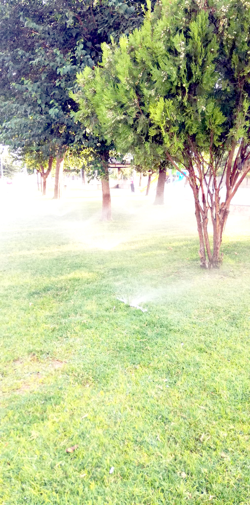 227 Park İçin Sulama Seferberliği