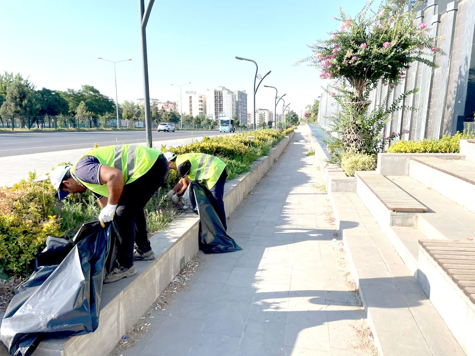 227 Parkta Sonbahar Temizliği
