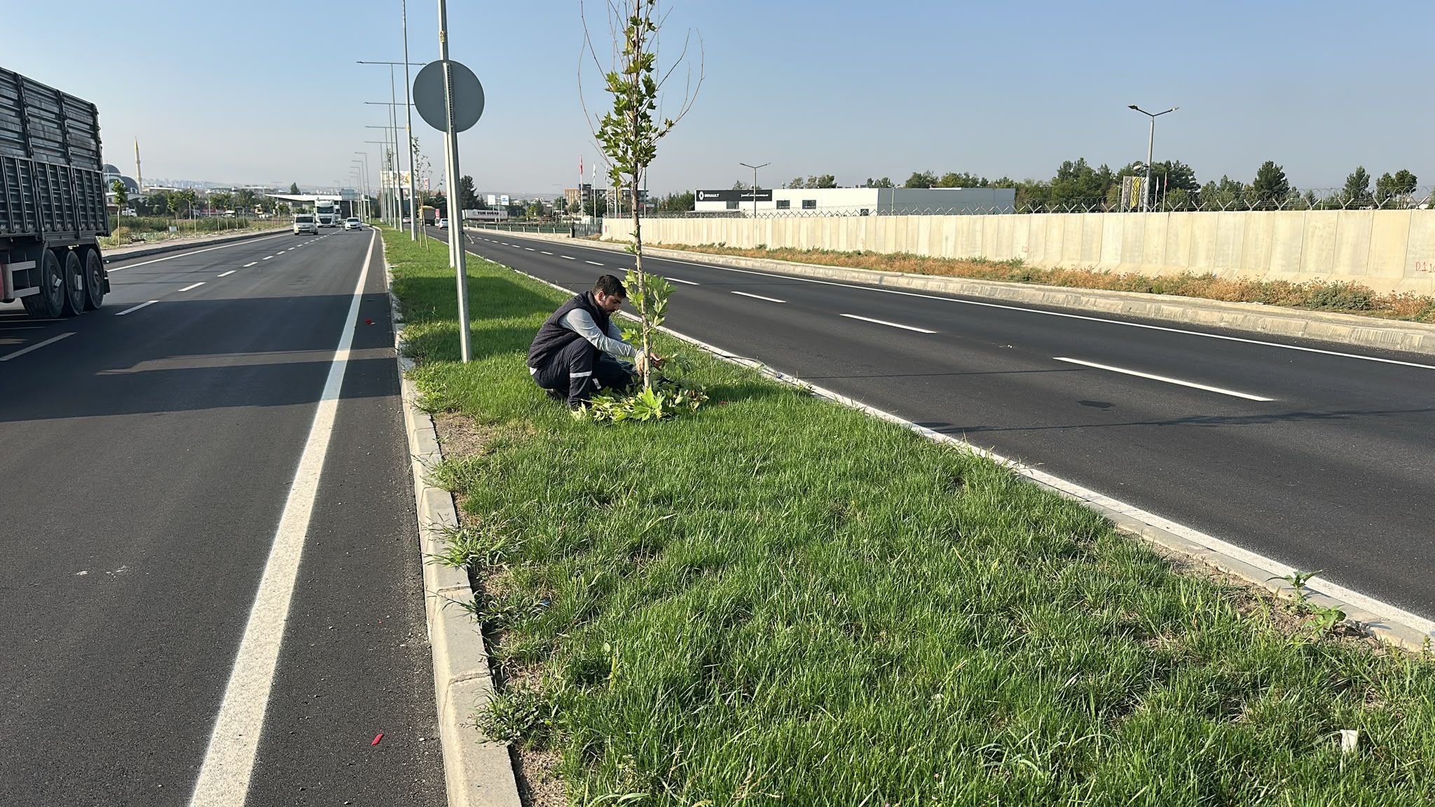 Bulvarlara yeşil dokunuş