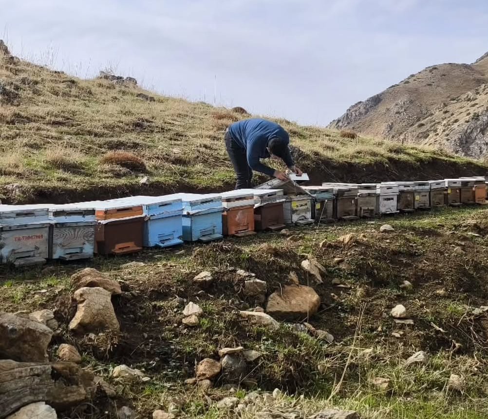 Sason’da Arı Sağlığı için saha çalışması